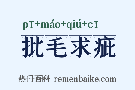批毛求疵是什么意思的图片